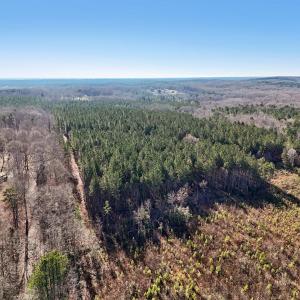 10-web-or-mls-Dewitt Smith Rd-010