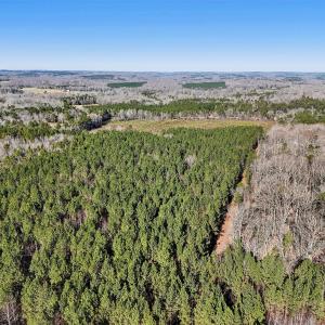 15-web-or-mls-Dewitt Smith Rd-015