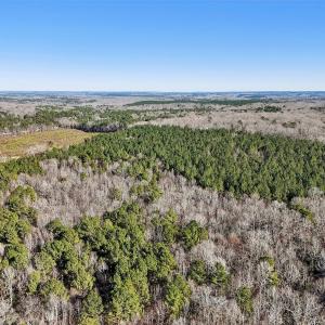 19-web-or-mls-Dewitt Smith Rd-019
