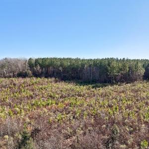 20-web-or-mls-Dewitt Smith Rd-020