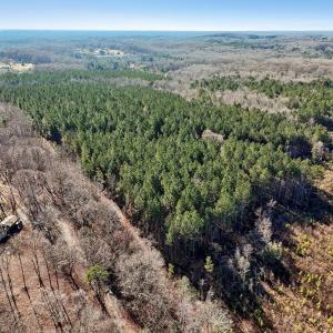 13-web-or-mls-Dewitt Smith Rd-013