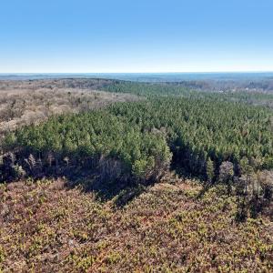 12-web-or-mls-Dewitt Smith Rd-012