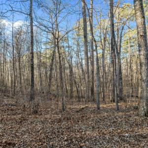 10-web-or-mls-DJI_0054