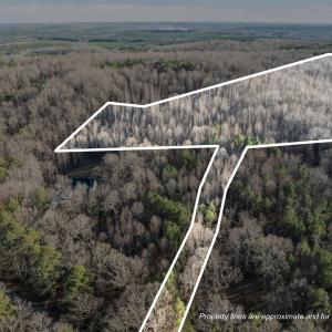 12-web-or-mls-DJI_0031_1