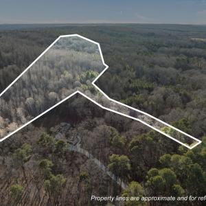 14-web-or-mls-DJI_0037_1