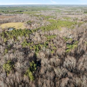 3-web-or-mls-DJI_0033