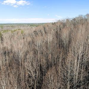 8-web-or-mls-DJI_0050