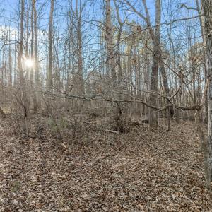 11-web-or-mls-DJI_0055