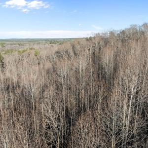 8-web-or-mls-DJI_0050