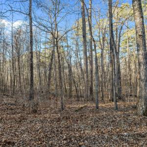 10-web-or-mls-DJI_0054