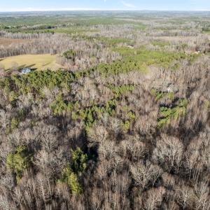 3-web-or-mls-DJI_0033