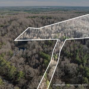 12-web-or-mls-DJI_0031_1