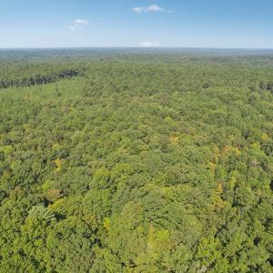 10-web-or-mls-S Rocky River Rd-007