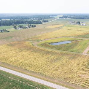 DJI_0696