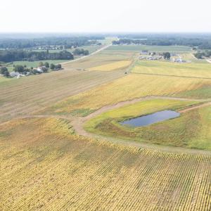 DJI_0695