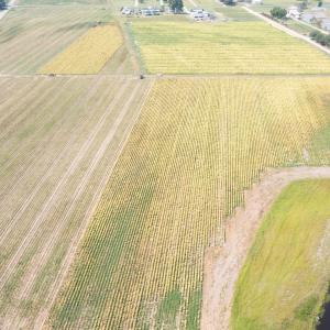 DJI_0702