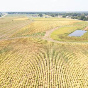 DJI_0707