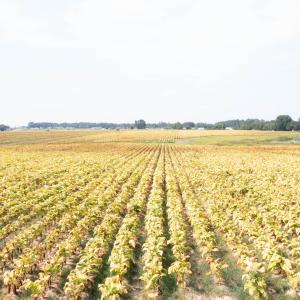 DJI_0710