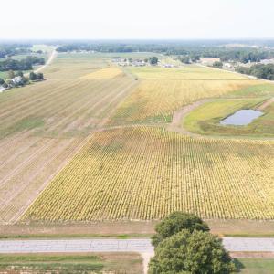 DJI_0691