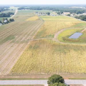 DJI_0694
