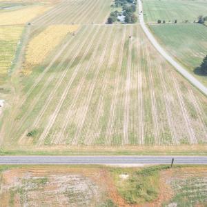 DJI_0726