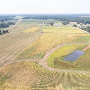 DJI_0698