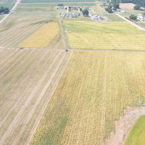 DJI_0699