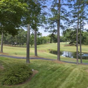 DJI_20240618110143_0094_D (Medium)