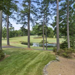 DJI_20240618110146_0097_D (Medium)