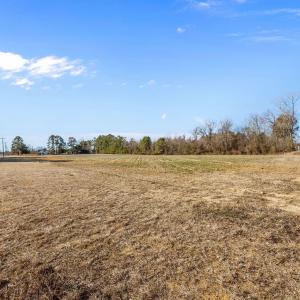 11-web-or-mls-IMG_8516