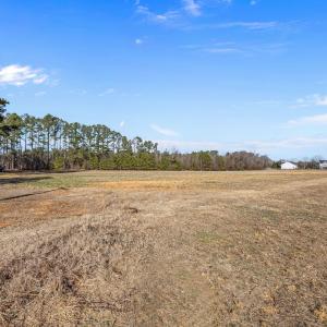 12-web-or-mls-IMG_8518