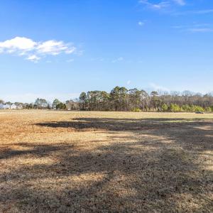 13-web-or-mls-IMG_8520