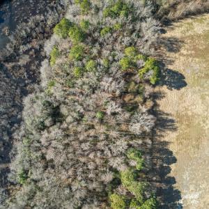 DJI_0907_pro_2550x1667