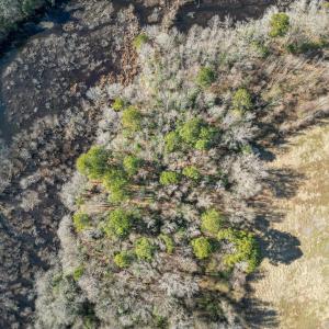 DJI_0911_pro_2550x1667