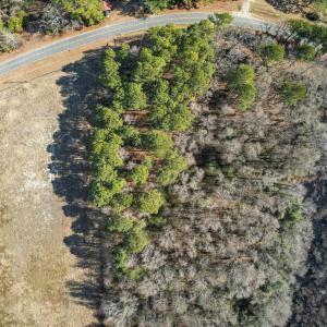 DJI_0917_pro_2550x1667