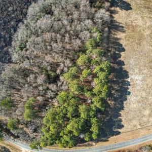 DJI_0905_pro_2550x1667