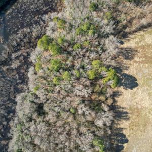 DJI_0909_pro_2550x1667