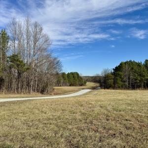 12101 - View from across shared driveway