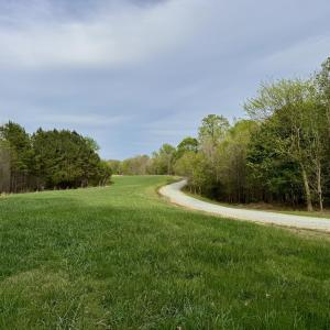 12101 - Driveway and Pasture
