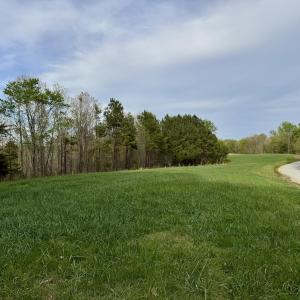 12101 Driveway