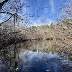 12101 - Pond