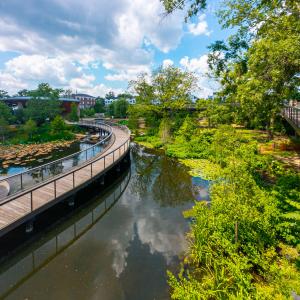Downtown Cary 06-22-11