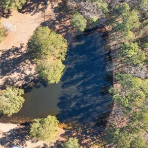 30-web-or-mls-DJI_20250131115602_0055_D