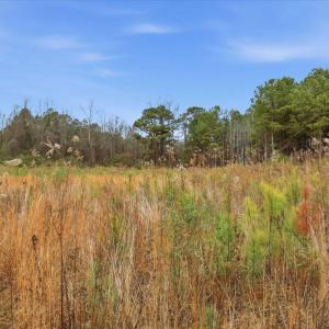 21-E Fatetteville St-21