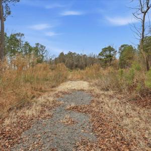 15-E Fatetteville St-15