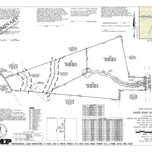 Preliminary Plat Map