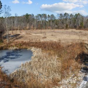 11-web-or-mls-DJI_20260128131757_0103_D