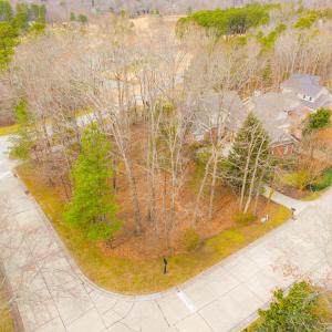 DJI_20260218111713_0303_D