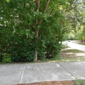 DSC00166