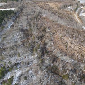 DJI_0662
